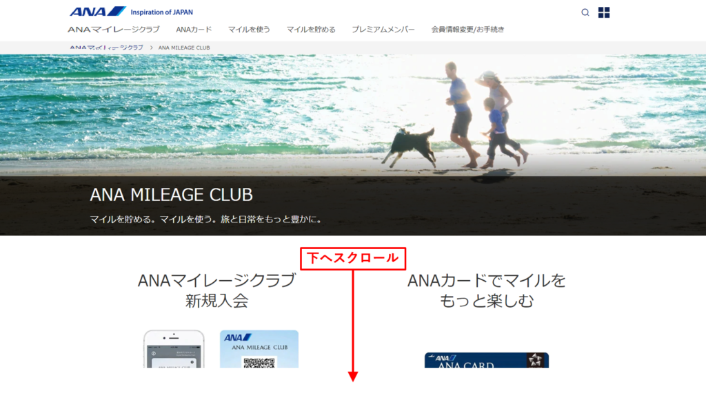 Edit The Name On An Account Replace Cards And Edit Profile Information Ana Mileage Club